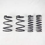 RS-R 2015+ Subaru Outback 3.6R Down Sus Springs - Miami AutoSport Technik