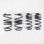 RS-R 2017-2022 Honda Civic Type R (FK8) Super Down Sus Springs - Miami AutoSport Technik