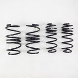RS-R 2017-2022 Honda Civic Type R (FK8) Super Down Sus Springs - Miami AutoSport Technik
