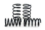 H&R 05-07 Honda Odyssey Sport Spring - Miami AutoSport Technik