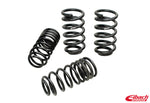Eibach SUV Pro-Kit for 09-11 Volkswagen Tiguan - Miami AutoSport Technik