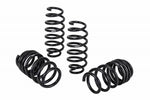 Eibach Pro-Kit for 17-19 Tesla 3 Long Range (AWD) - Miami AutoSport Technik