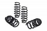 Eibach Pro-Kit for 17-19 Tesla 3 Long Range (AWD) - Miami AutoSport Technik