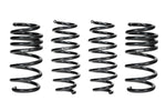 Eibach Pro-Kit for 17-20 Tesla 3 Standard Range - Miami AutoSport Technik